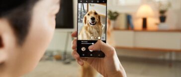 Will the Google Pixel 7 do a better job with pet photography?