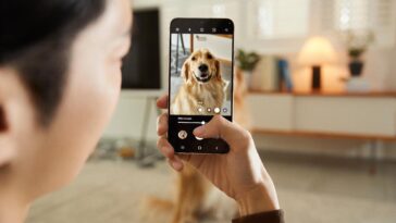 Will the Google Pixel 7 do a better job with pet photography?
