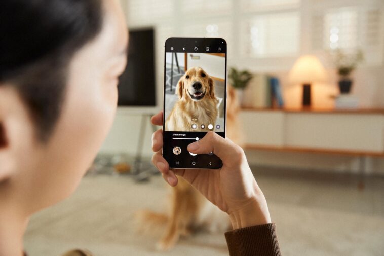 Will the Google Pixel 7 do a better job with pet photography?