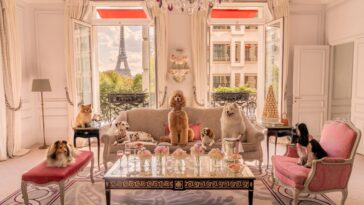 Hôtel Plaza Athénée and Gray Malin’s New Photography Series “Dogs of Paris” Is the Content You Need In Your Life