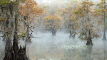 A Beginner's Guide to Landscape Photography