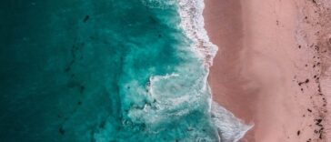 photo 1628961434253 296d21adc2a4