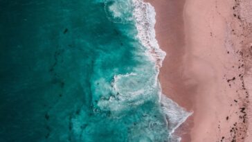 photo 1628961434253 296d21adc2a4